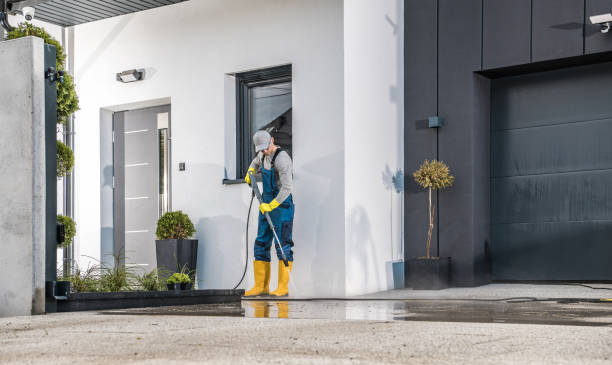 Best Roof Washing  in North Richmond, CA